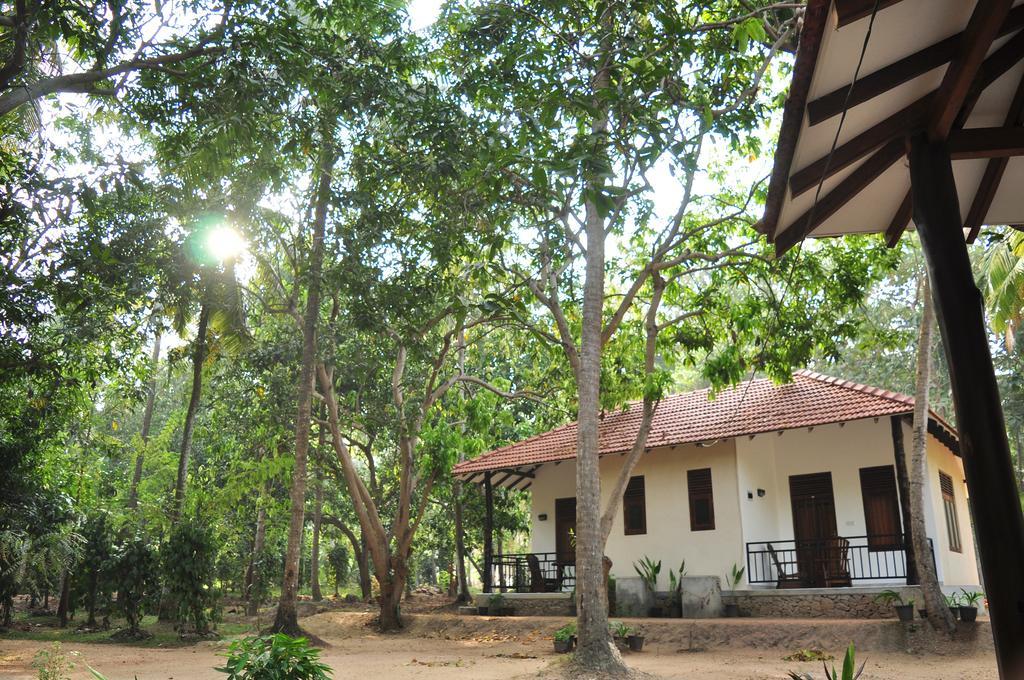 Soba Lanka Holiday Resort Melsiripura المظهر الخارجي الصورة