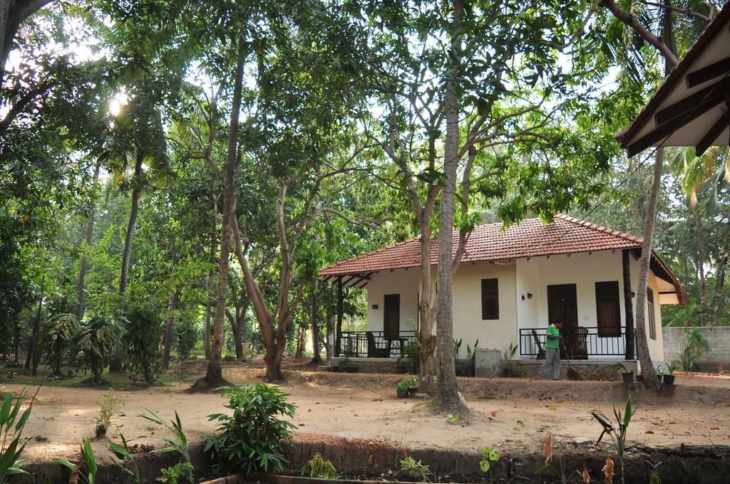Soba Lanka Holiday Resort Melsiripura المظهر الخارجي الصورة