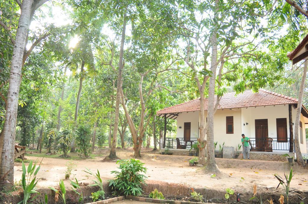Soba Lanka Holiday Resort Melsiripura المظهر الخارجي الصورة