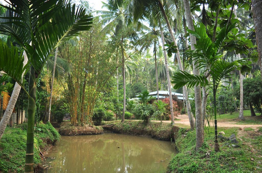Soba Lanka Holiday Resort Melsiripura المظهر الخارجي الصورة