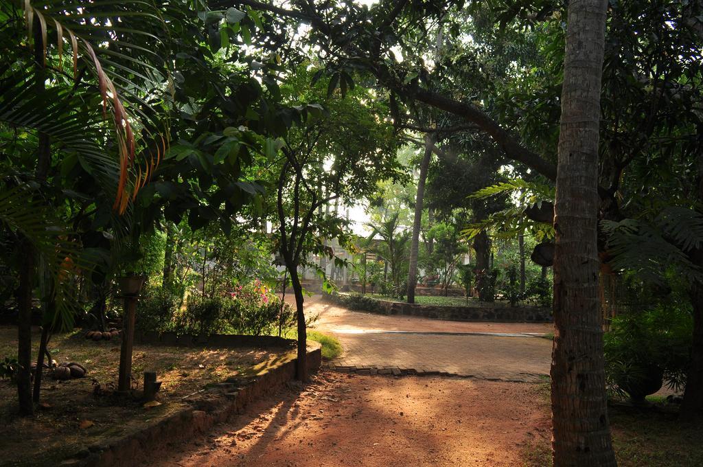 Soba Lanka Holiday Resort Melsiripura المظهر الخارجي الصورة