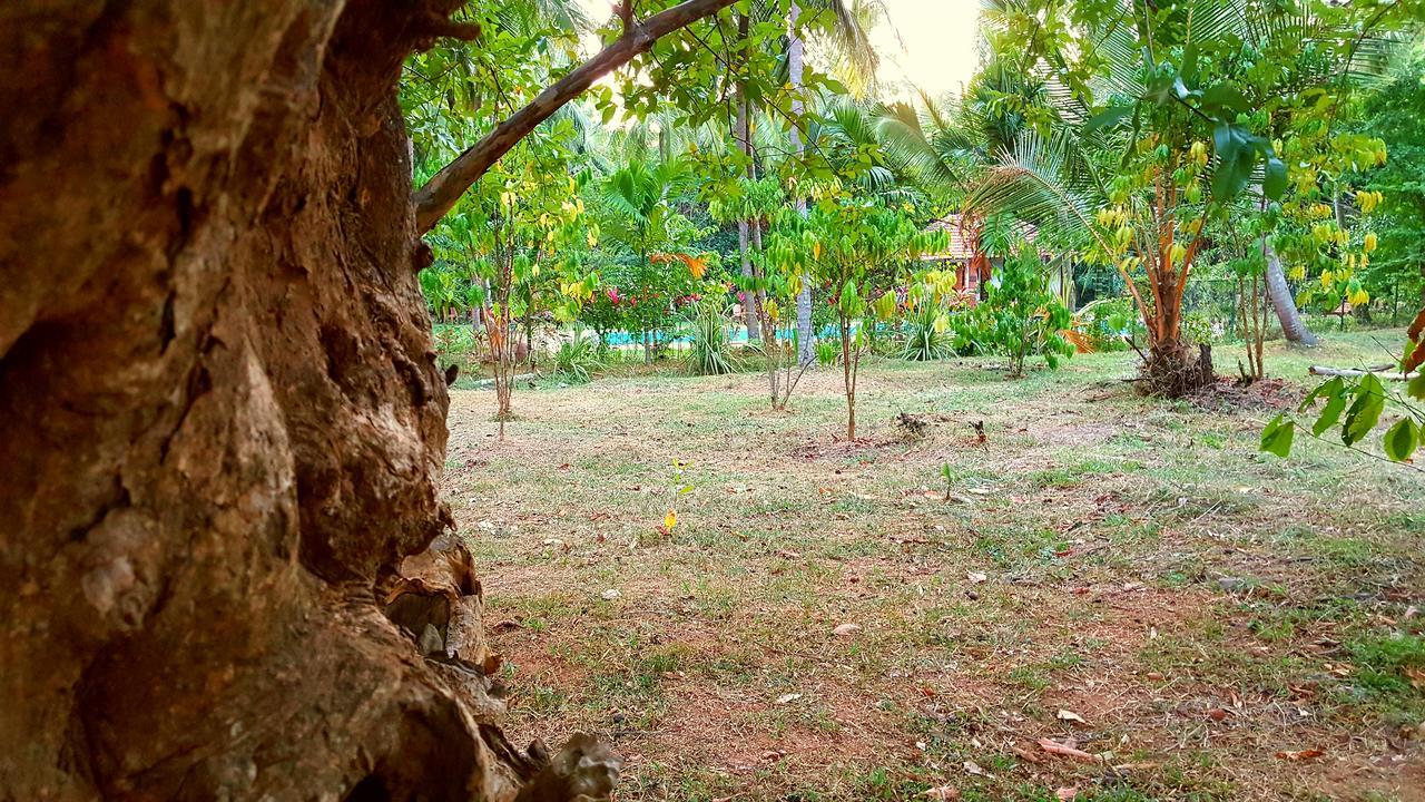 Soba Lanka Holiday Resort Melsiripura المظهر الخارجي الصورة