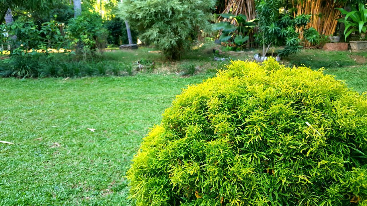 Soba Lanka Holiday Resort Melsiripura المظهر الخارجي الصورة