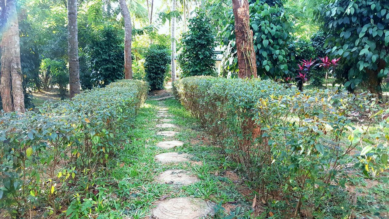 Soba Lanka Holiday Resort Melsiripura المظهر الخارجي الصورة