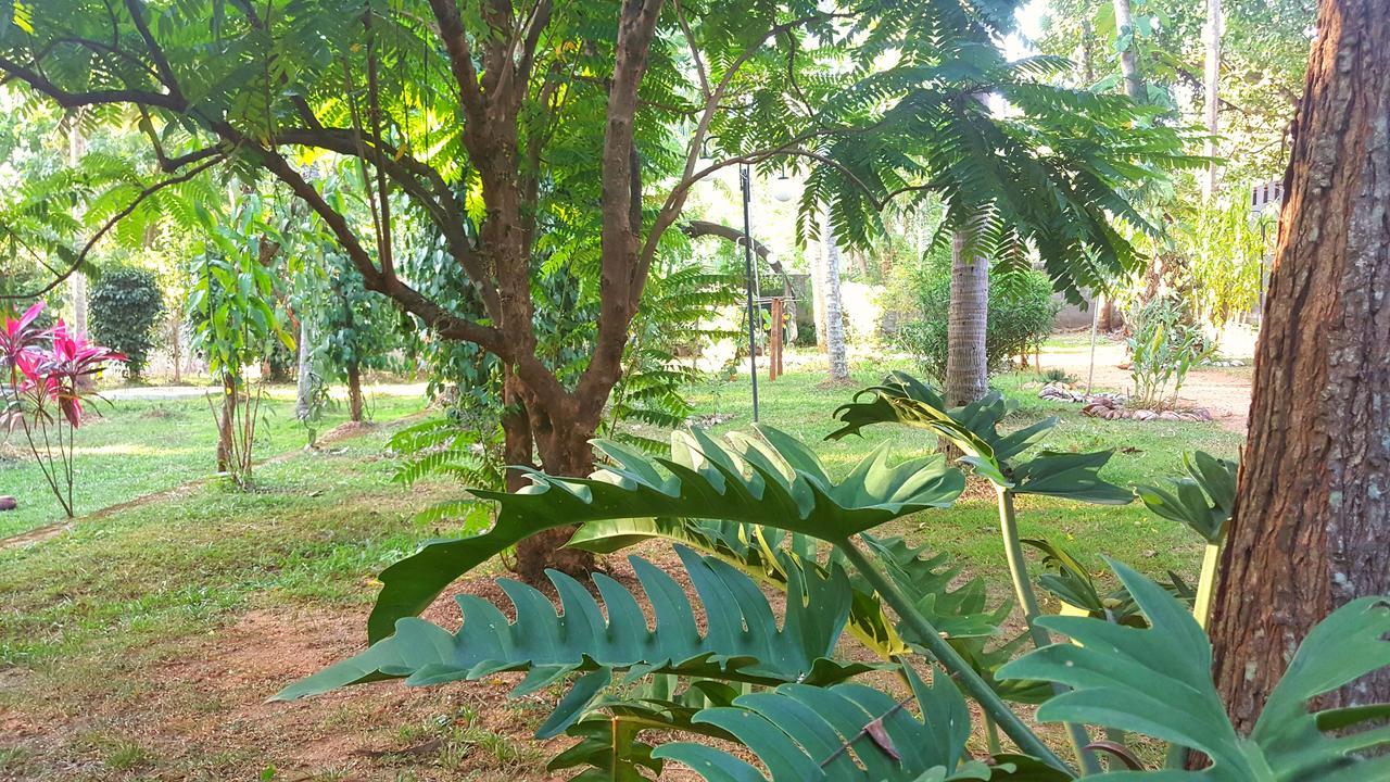 Soba Lanka Holiday Resort Melsiripura المظهر الخارجي الصورة