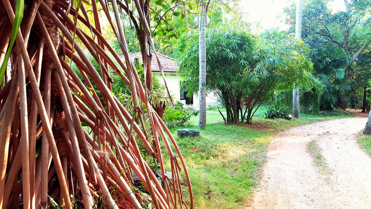 Soba Lanka Holiday Resort Melsiripura المظهر الخارجي الصورة