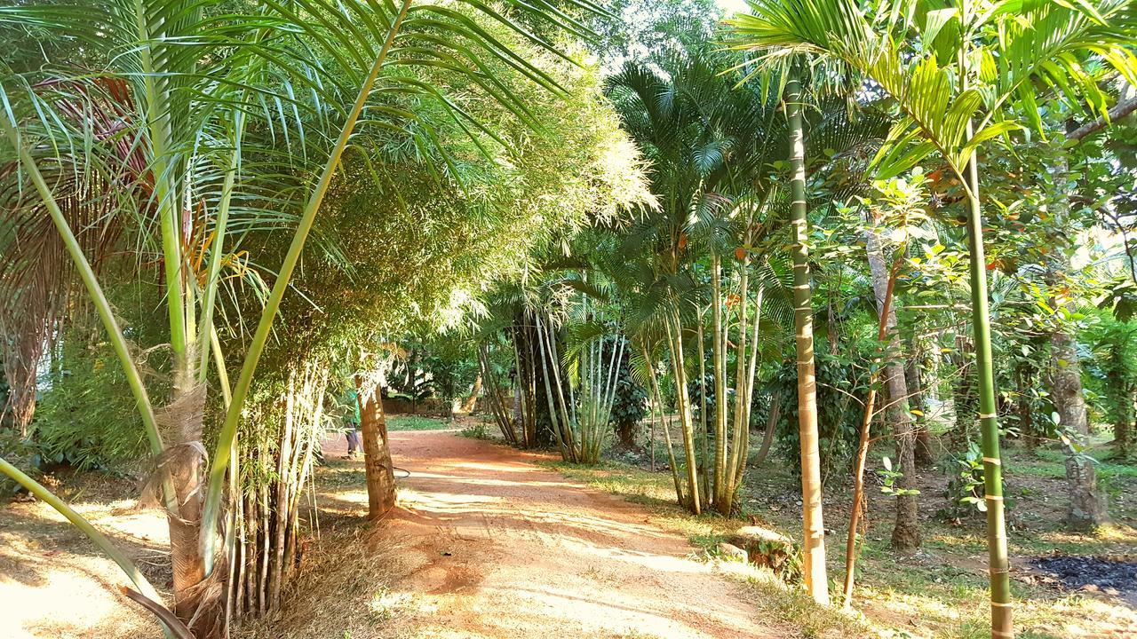 Soba Lanka Holiday Resort Melsiripura المظهر الخارجي الصورة