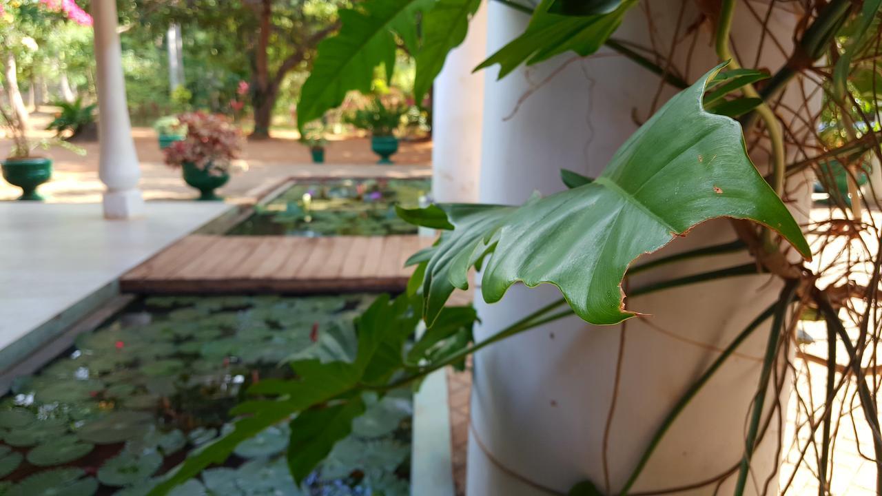 Soba Lanka Holiday Resort Melsiripura المظهر الخارجي الصورة