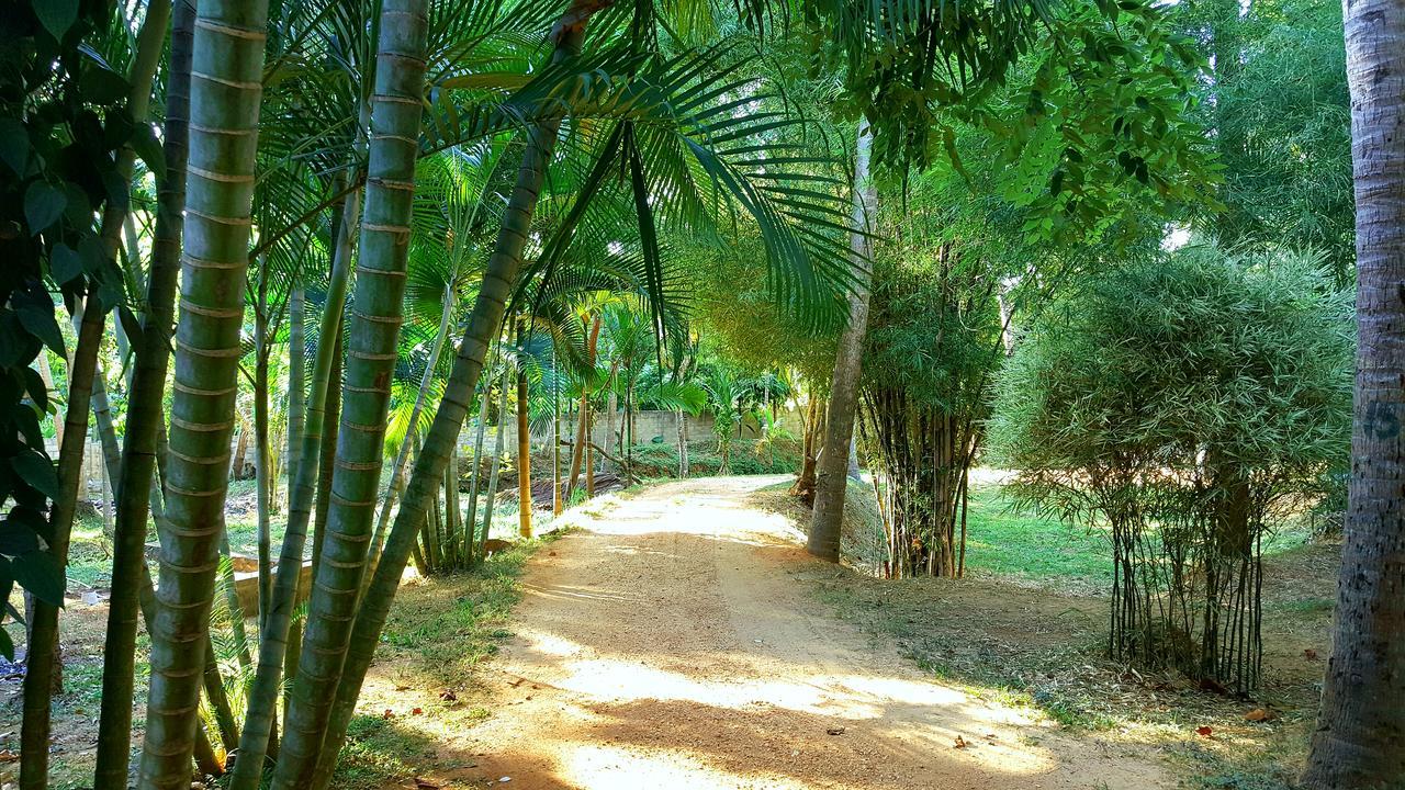 Soba Lanka Holiday Resort Melsiripura المظهر الخارجي الصورة